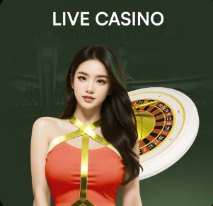 2026年4月4日韩篮甲安养正官庄vs蔚山现代太阳神直播【24直播网】