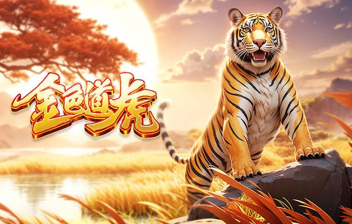 金刚区块链爆点